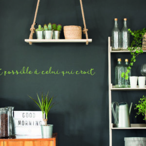 Marc 9.23 horizontal @CouleurMenthe